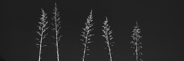 abeastforthee Profile Banner