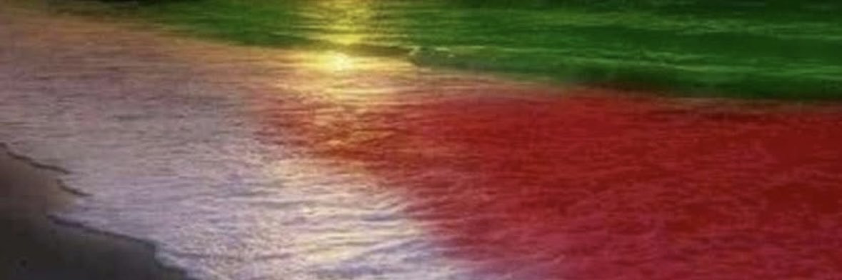 Nancy Abdallah🇺🇸🇵🇸🇾🇪🇱🇧🇮🇷 banner