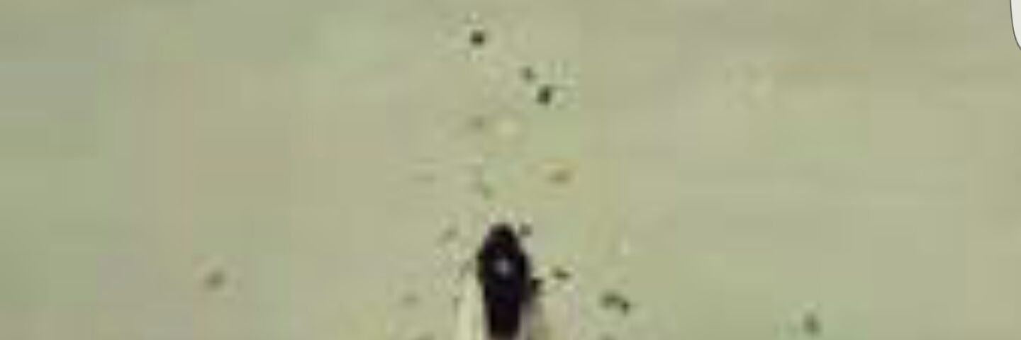 raeem_1's profile banner image