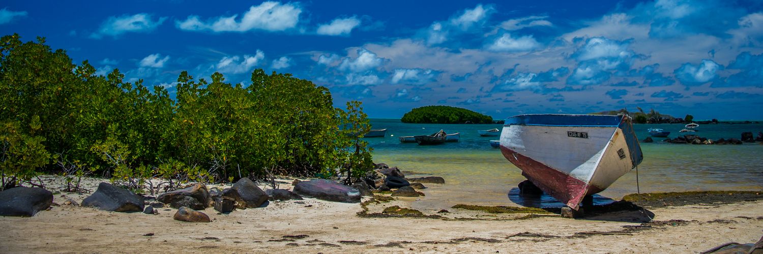 Avinash Balgobin banner