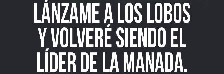 Florecilla.Rockera 🤘🏻🤘🏻🎗️ banner