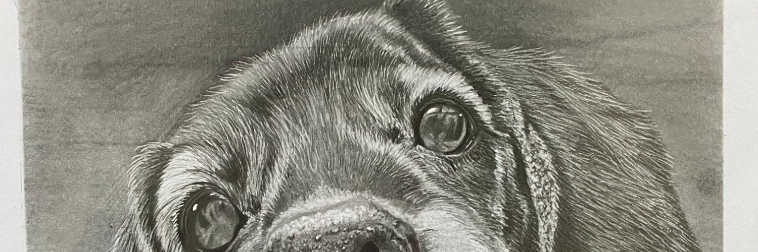 kekuda40's profile banner image