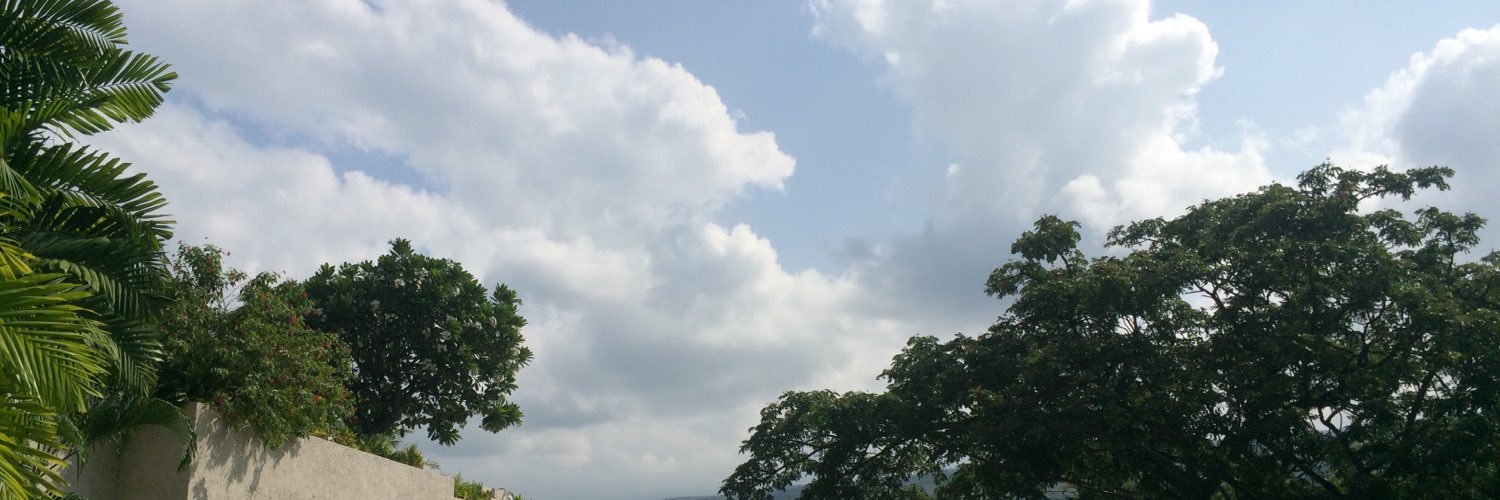 levfbevch's profile banner image