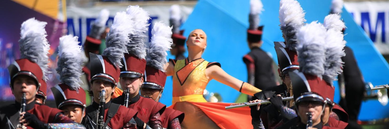 WandoBands banner