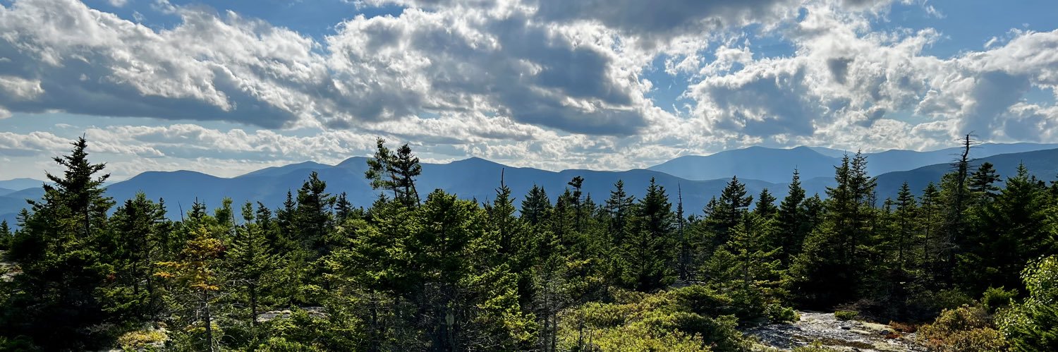 David P. Littell banner