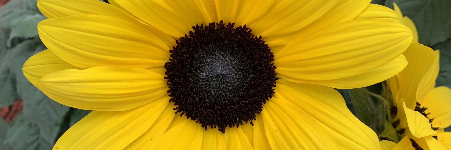 CMcCray108's profile banner image