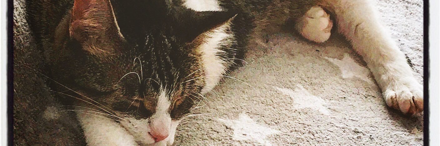 NicholeHalstead's profile banner image