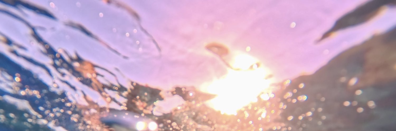 TheLittlePapa's profile banner image