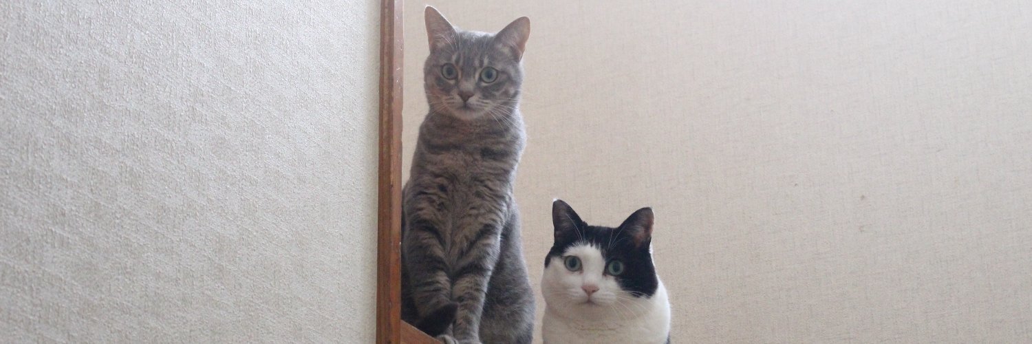 sueko425's profile banner image