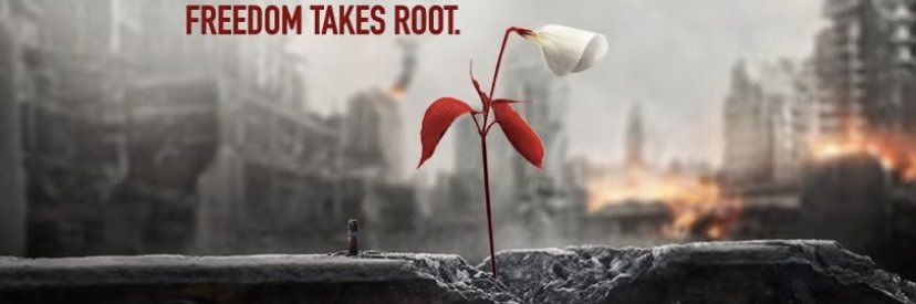 RobinStacie's profile banner image