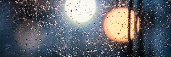 Dnya94's profile banner image