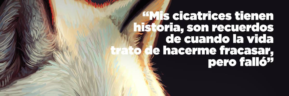 gsbecky's profile banner image