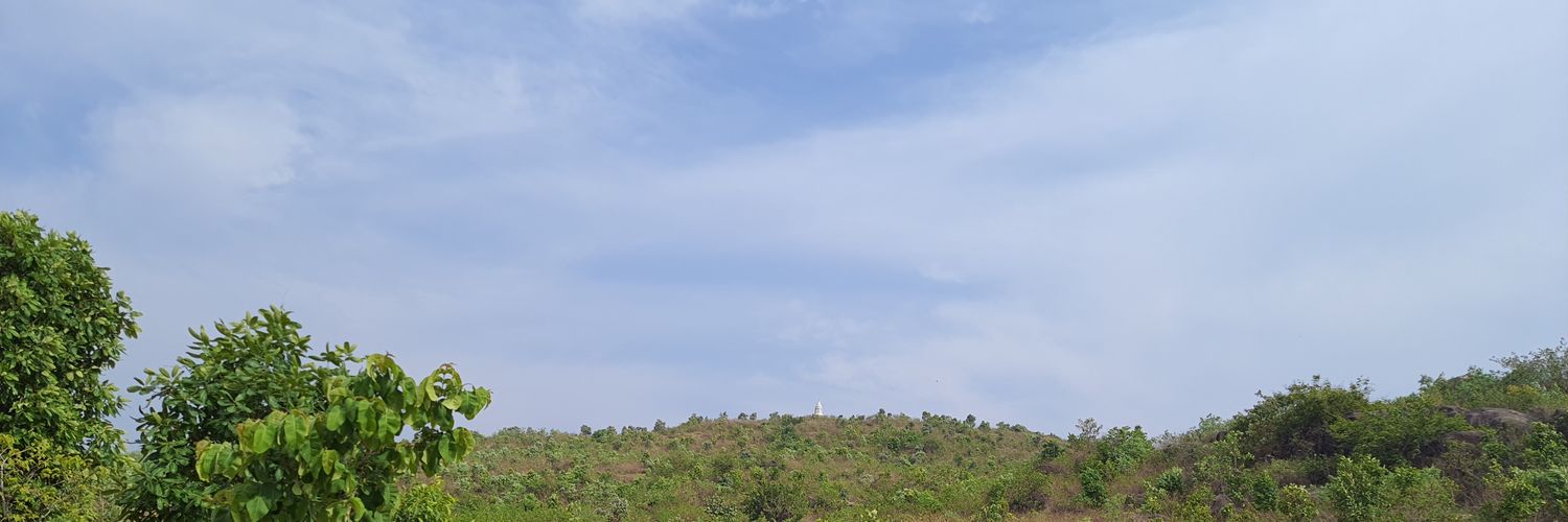 manas2manas's profile banner image