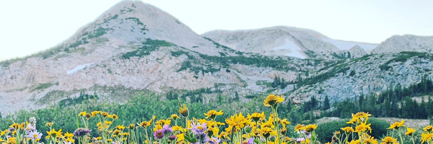 UnpickedCotton's profile banner image
