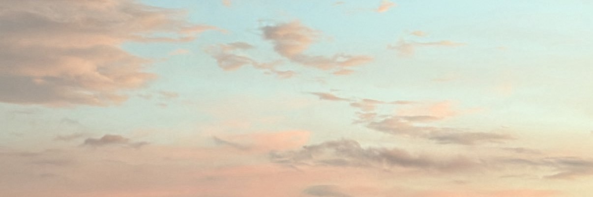 Mariel banner