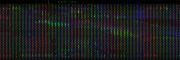 Eugene_Brick Profile Banner