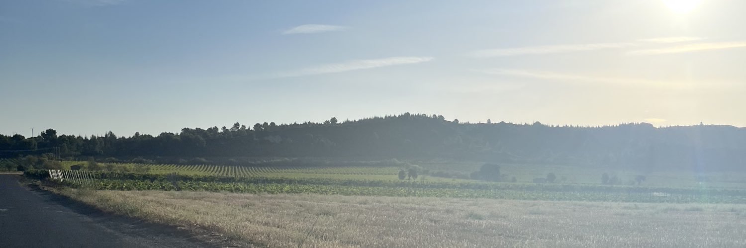 rozoutram's profile banner image