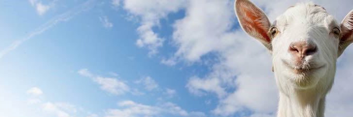 Lily Barnett banner