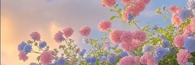 Mely__SD's profile banner image