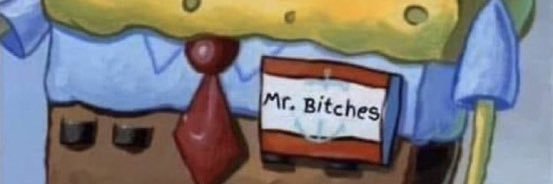 _littykitty_'s profile banner image