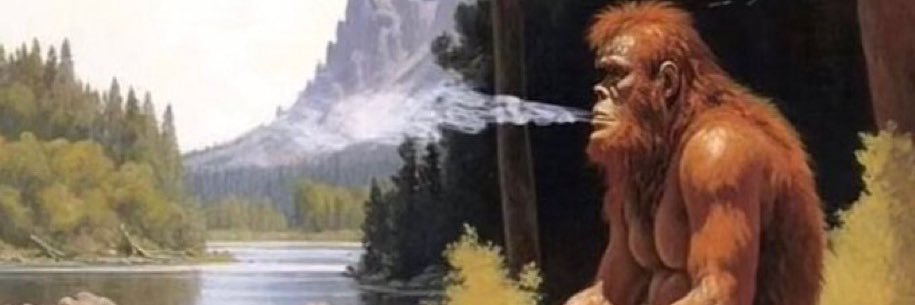 Lebron bath water banner