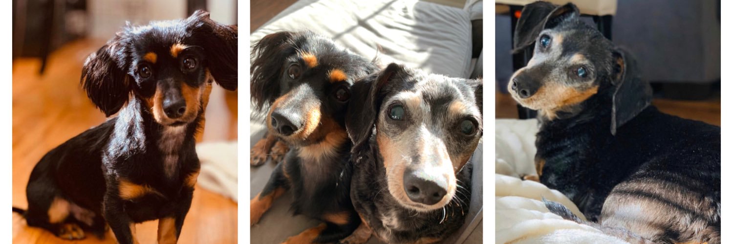 Boone Prentice banner