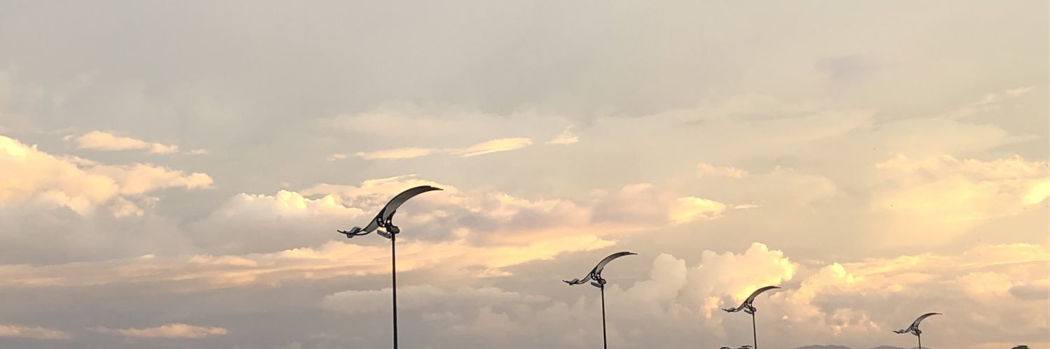 peachflows's profile banner image
