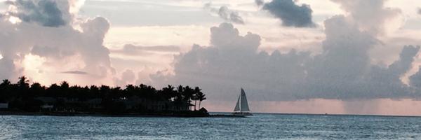 tbcavanagh Profile Banner