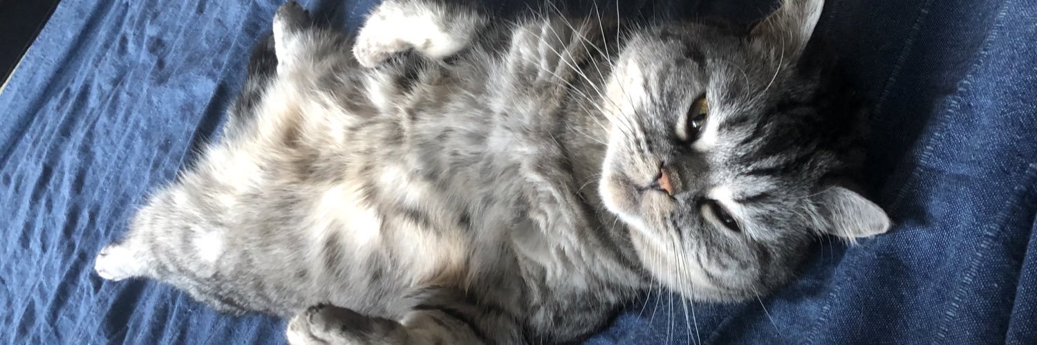 Маша с котом banner