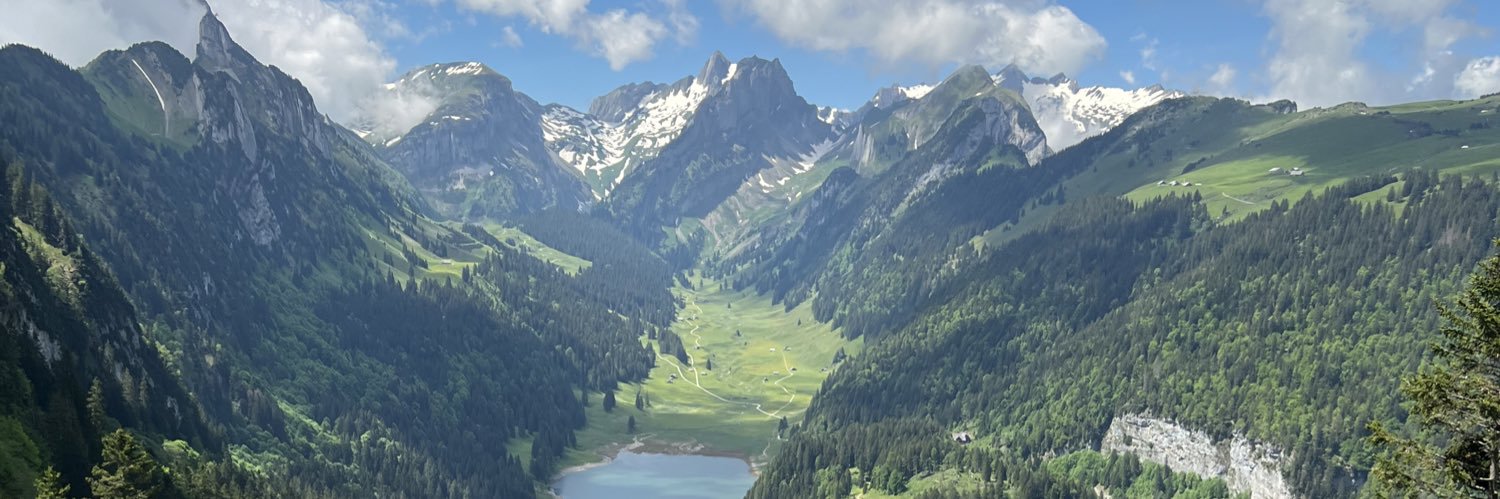 Andrea S. Carlini banner