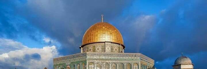 Ma6Mohammad1983's profile banner image