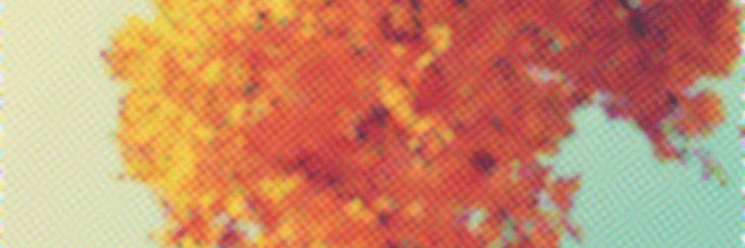 SAF 9 banner