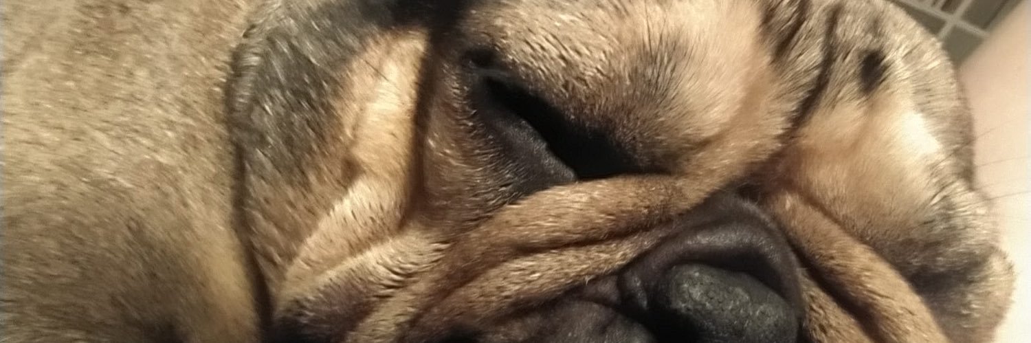 FariTTariF's profile banner image