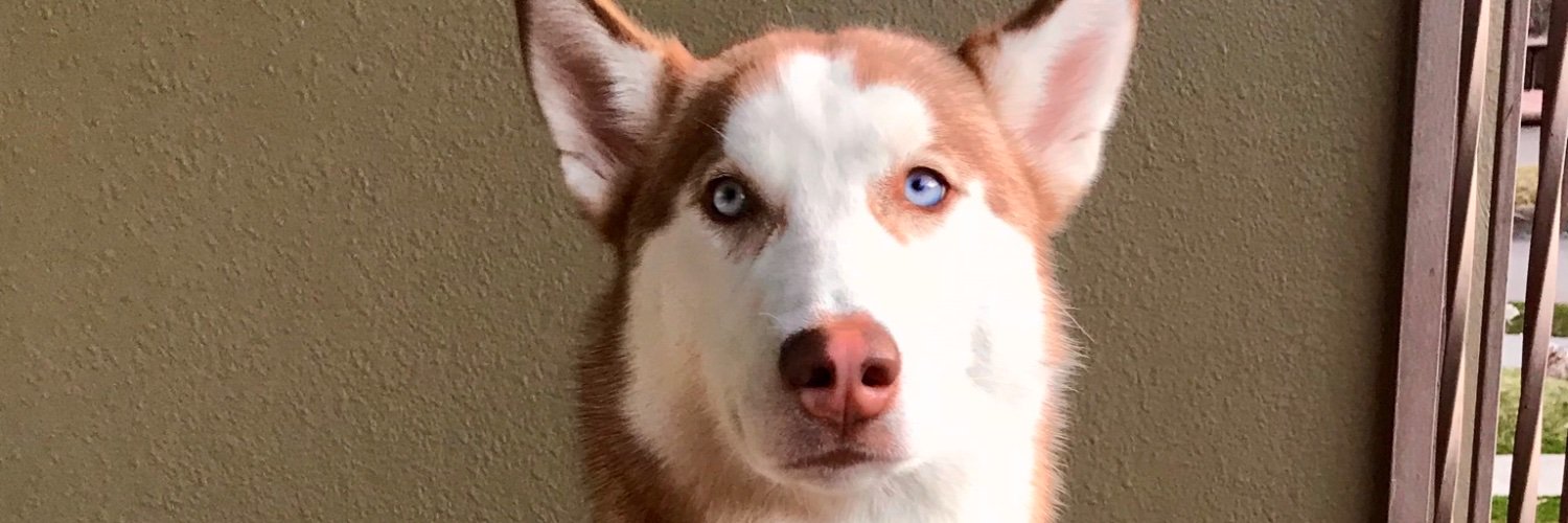 jay_townn's profile banner image
