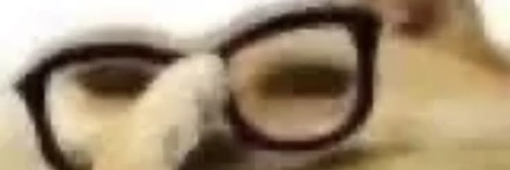 NoturnoDeadness's profile banner image