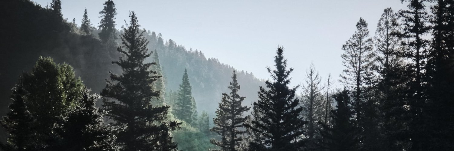 Jacob Kamper banner