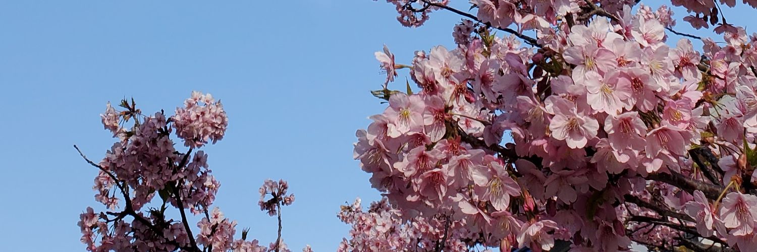 kei15343's profile banner image