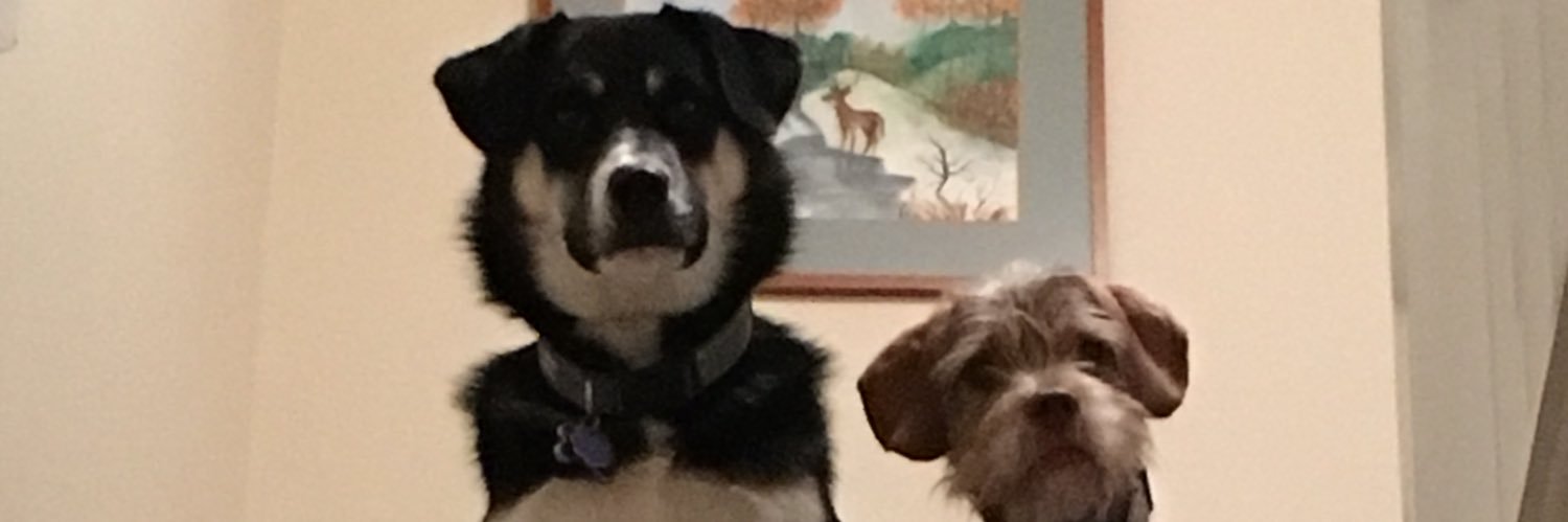albumshitrat's profile banner image