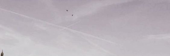 1 banner
