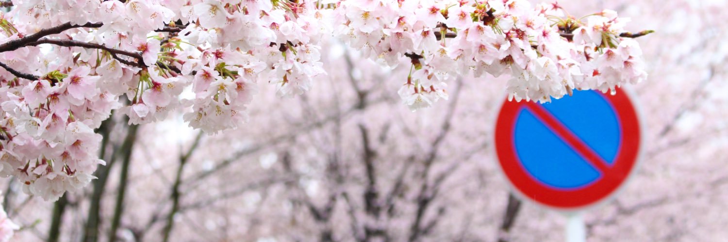 chieecky's profile banner image