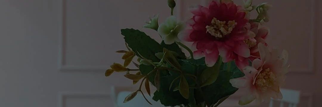 polliteixeiraa's profile banner image