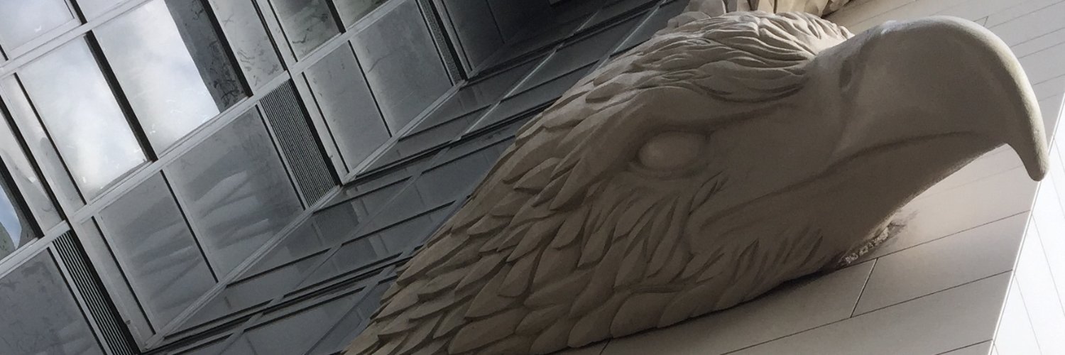tonshalarke's profile banner image