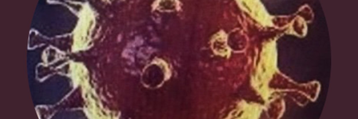 VioletteIza's profile banner image