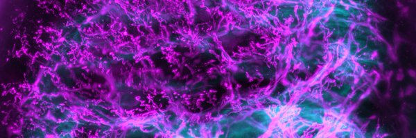 bakermind Profile Banner