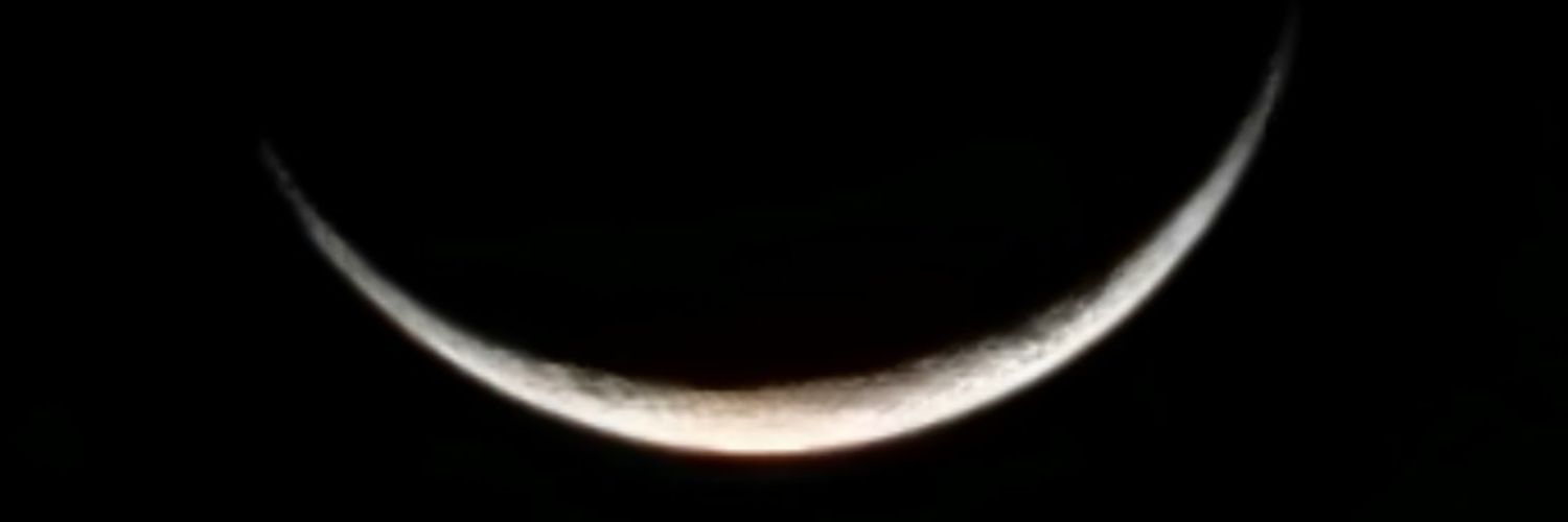 JackelynSnow96's profile banner image