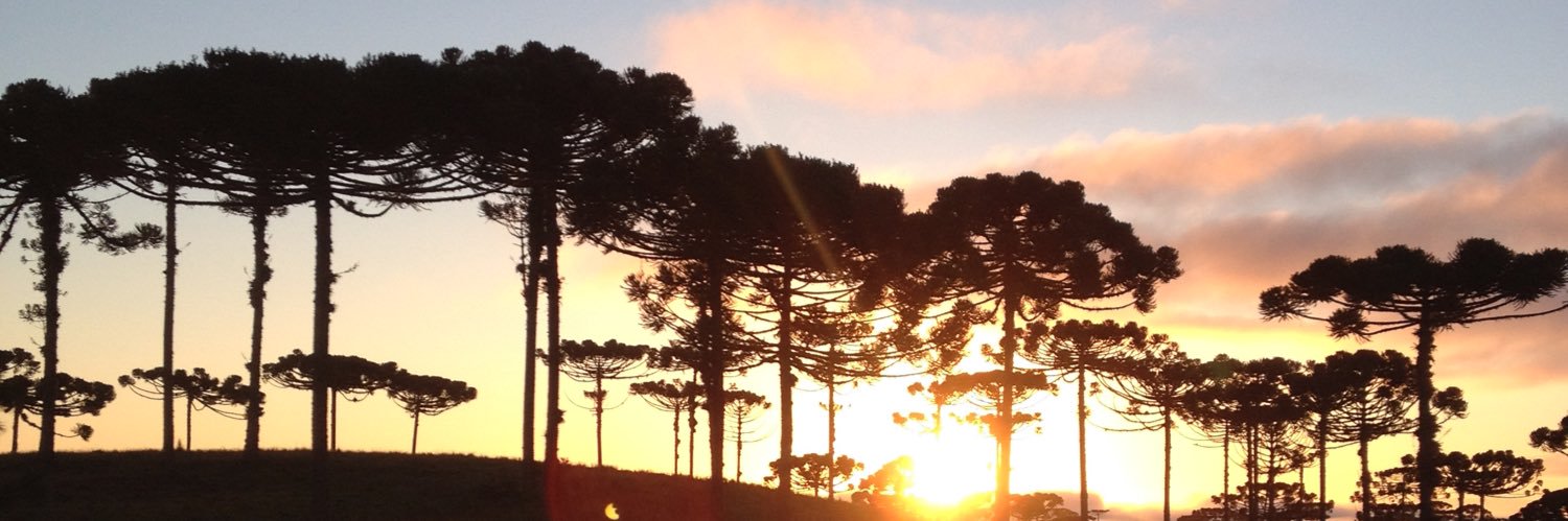 RogerioRabitto's profile banner image