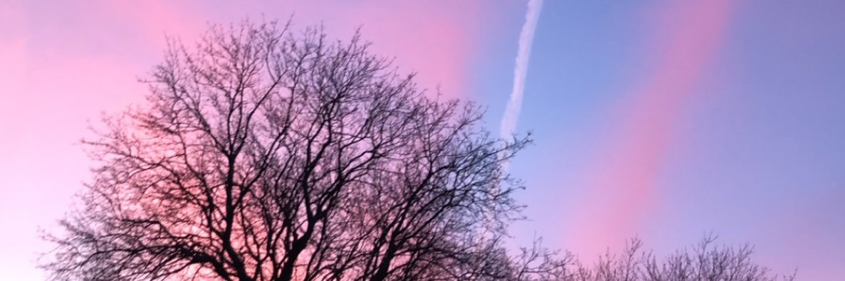 BenjaminJarm's profile banner image