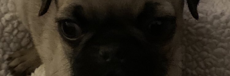 SaltyKidCris's profile banner image