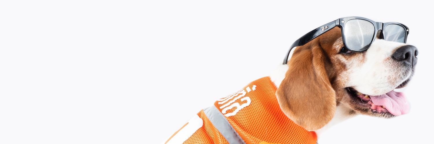 Botiqe banner