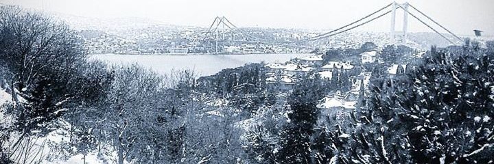 eagle_84's profile banner image